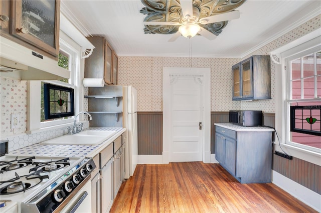 kitchen with ceiling fan, white range with gas cooktop, ornamental molding, and sink