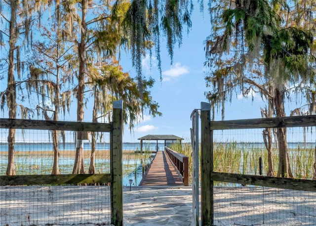 dock area with a water view