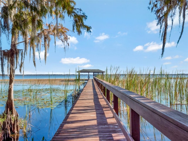 dock area featuring a water view