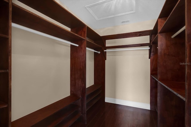 spacious closet with dark hardwood / wood-style floors