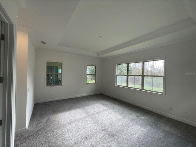 carpeted spare room with a raised ceiling and crown molding