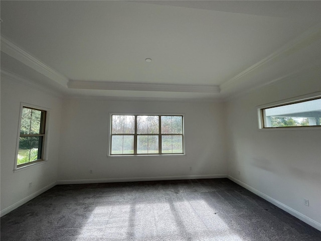 carpeted spare room featuring crown molding