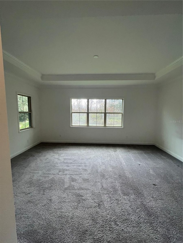 carpeted empty room featuring crown molding