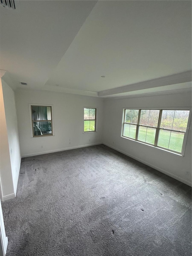 unfurnished room with carpet floors