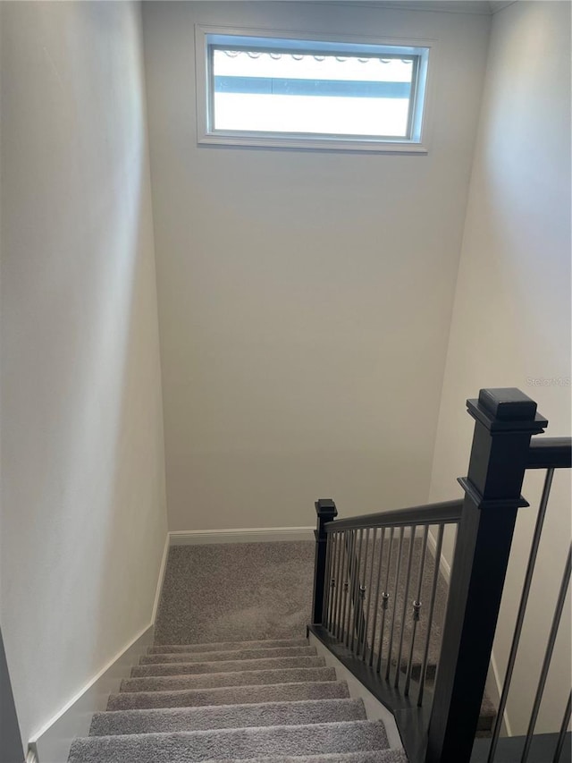 staircase with carpet and a healthy amount of sunlight