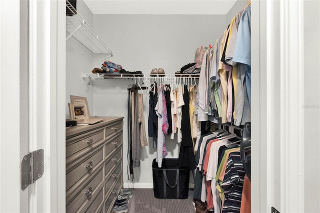 view of walk in closet