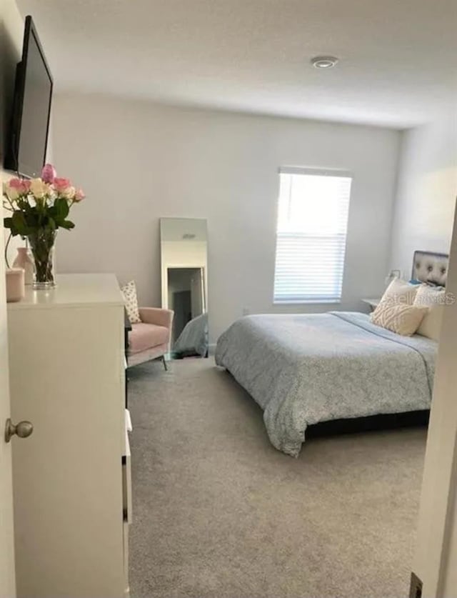 bedroom featuring carpet