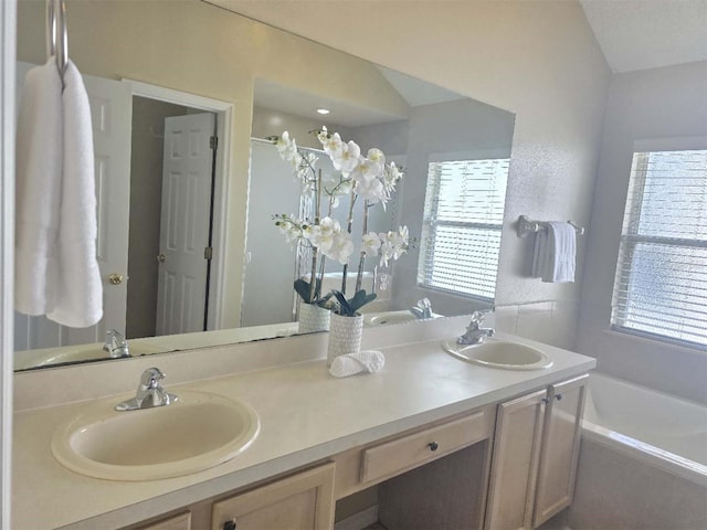 bathroom featuring vanity and a bathing tub