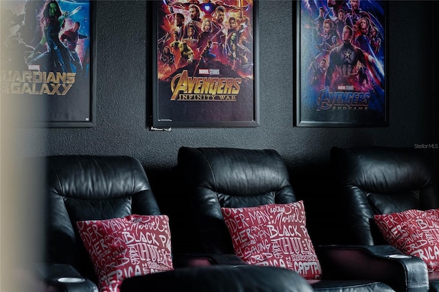 view of home theater