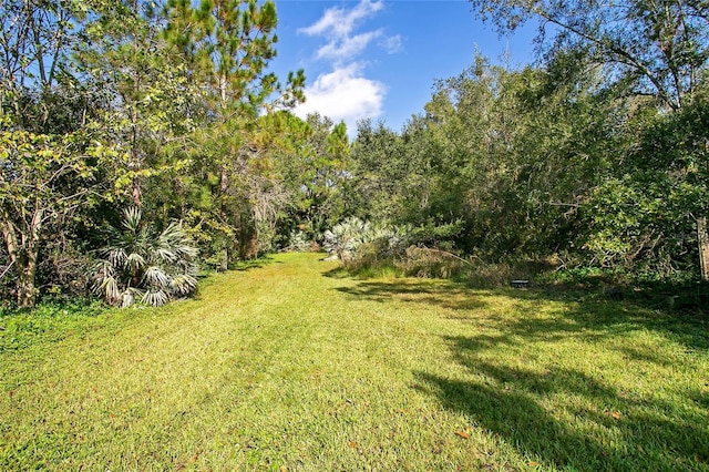 7200 Grace Rd, Orlando, FL 32819 - photo 35