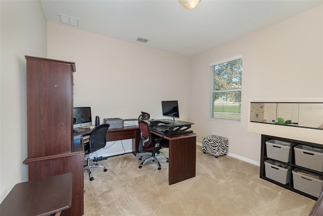 office area featuring light colored carpet