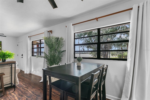 dining room with dark hardwood / wood-style flooring and a wealth of natural light