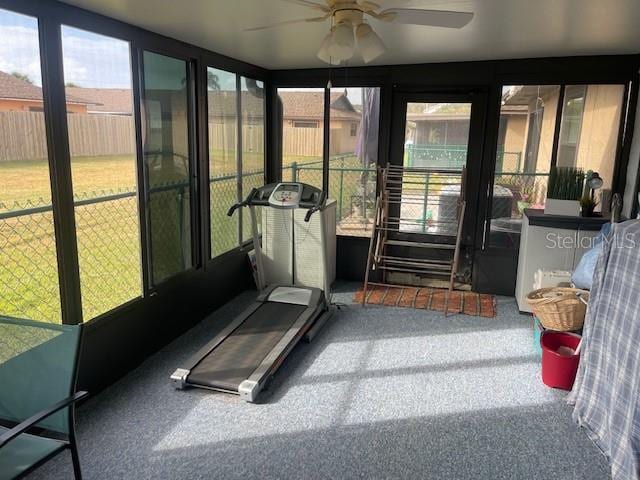 exercise area with ceiling fan and carpet