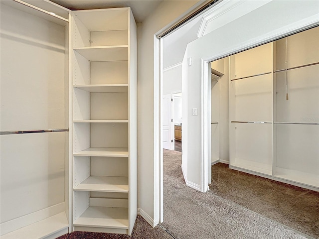 walk in closet featuring carpet