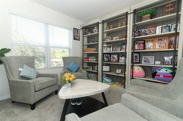 sitting room with carpet floors