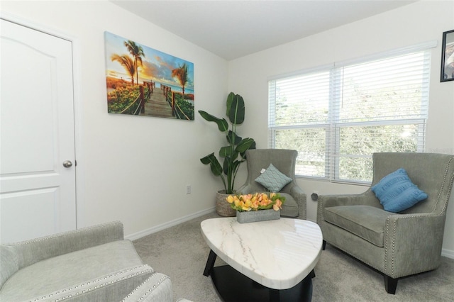 sitting room with light colored carpet