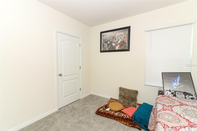 sitting room with light carpet