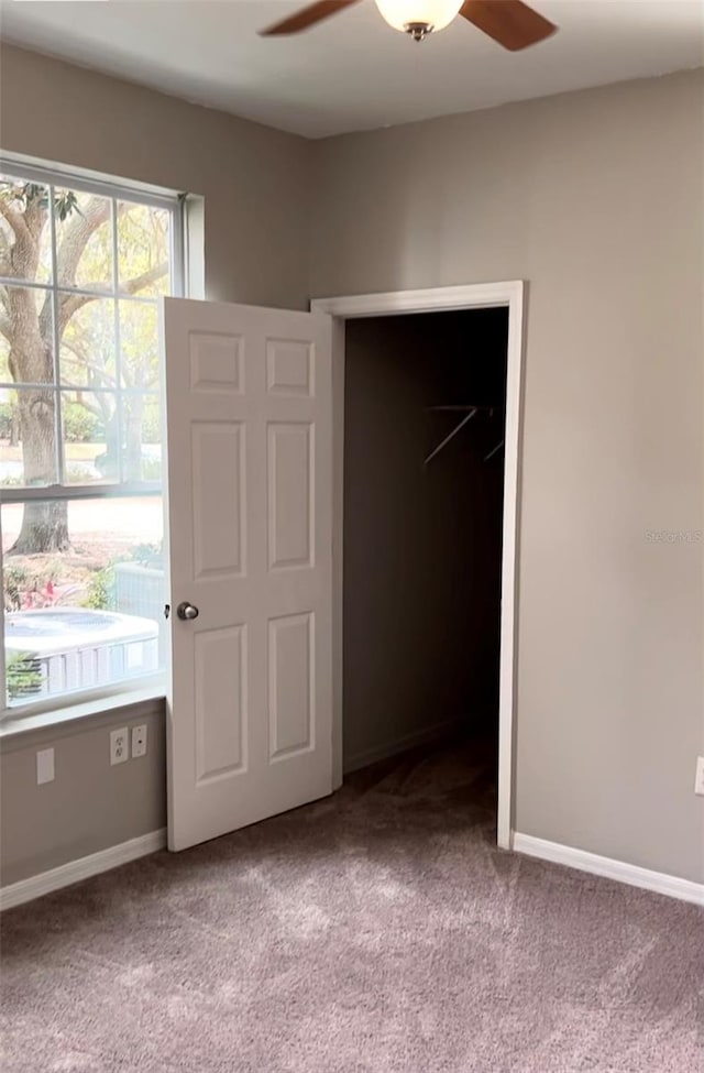 unfurnished bedroom featuring carpet flooring, a closet, a spacious closet, and ceiling fan