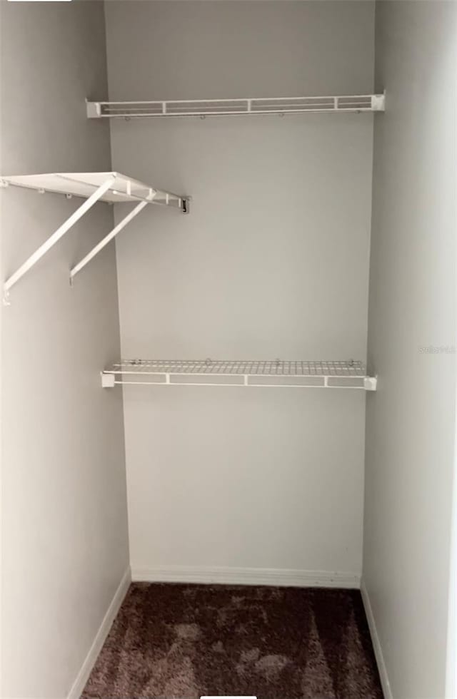 spacious closet with dark carpet