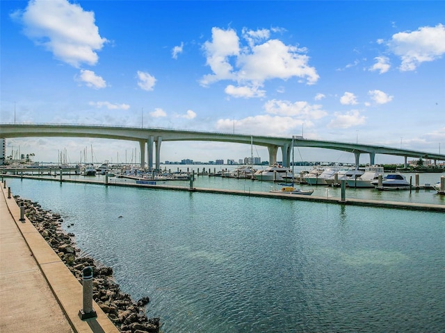 dock area with a water view