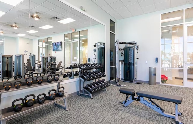 gym featuring carpet flooring and a drop ceiling