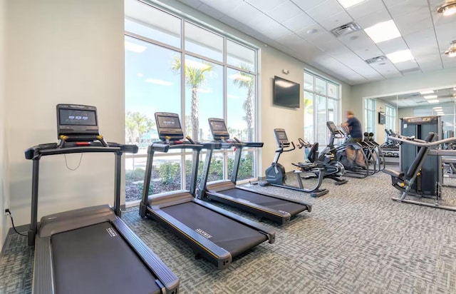 exercise room featuring carpet and a drop ceiling