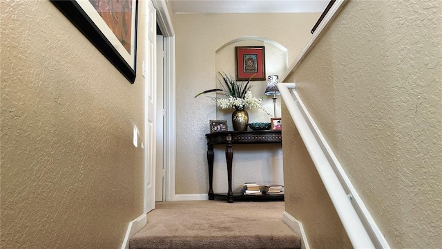 stairway with carpet floors