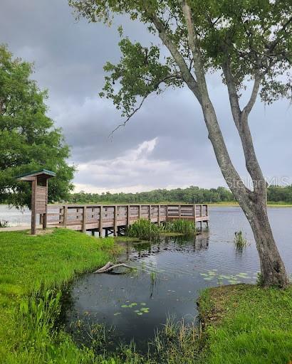 dock area with a water view