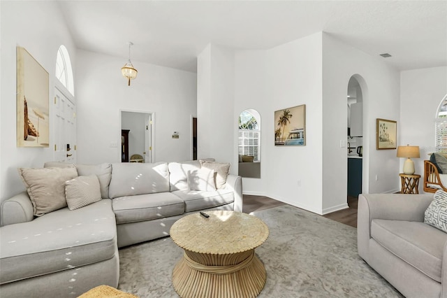 living room featuring wood-type flooring and a high ceiling