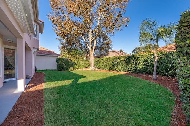 11313 Via Andiamo, Windermere, FL 34786 - view of yard