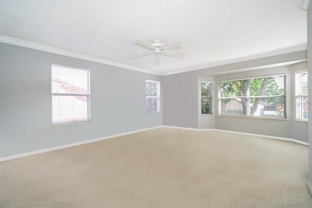 11313 Via Andiamo, Windermere, FL 34786 - spare room featuring ornamental molding, plenty of natural light, carpet floors, and a ceiling fan