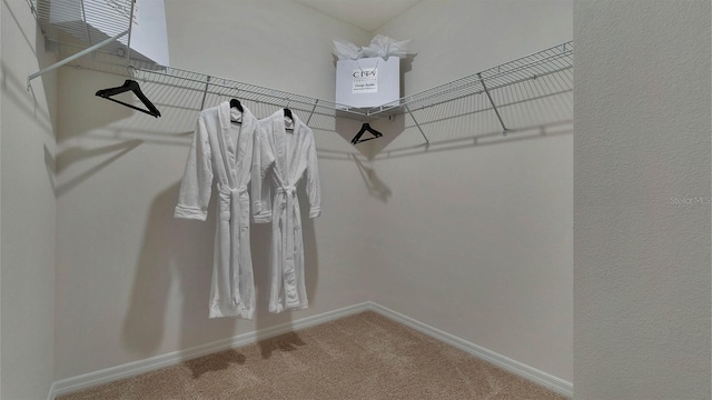 spacious closet with carpet flooring