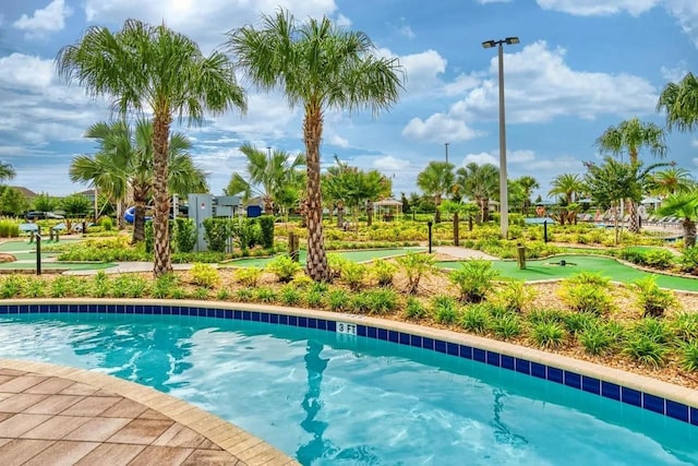 view of swimming pool