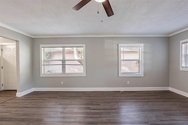 2558 12th Ave S, Saint Petersburg, FL 33712 - photo 3