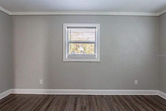 2558 12th Ave S, Saint Petersburg, FL 33712 - photo 11