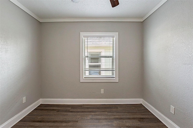 2558 12th Ave S, Saint Petersburg, FL 33712 - photo 12