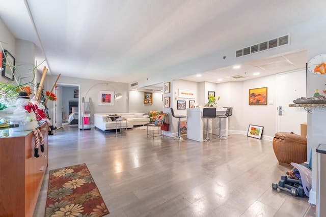 living room with hardwood / wood-style flooring