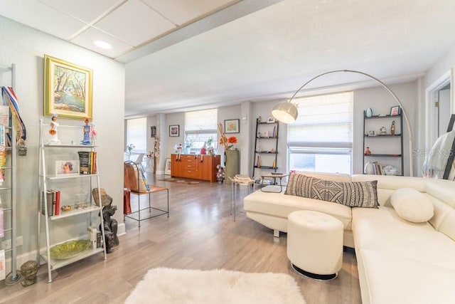 living room with hardwood / wood-style floors