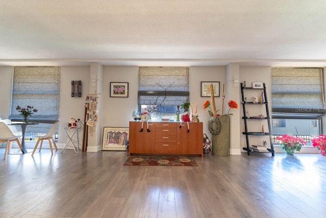 living room with dark hardwood / wood-style floors