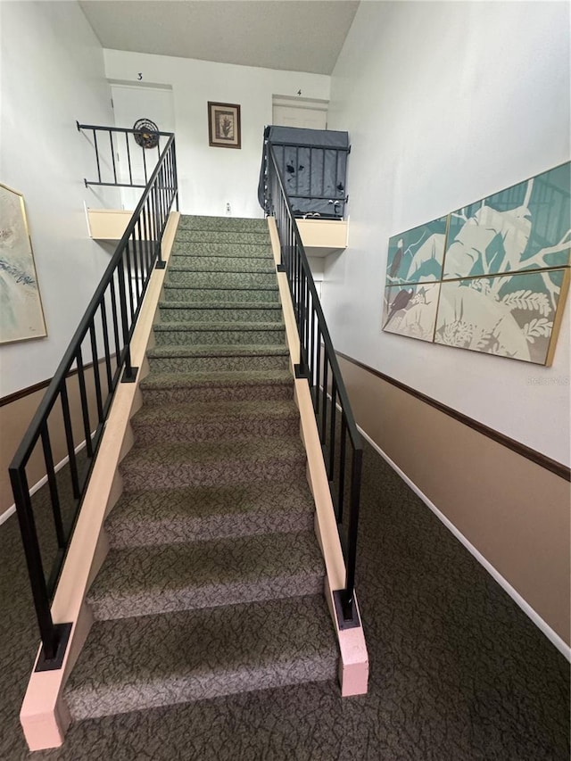 stairway featuring carpet floors