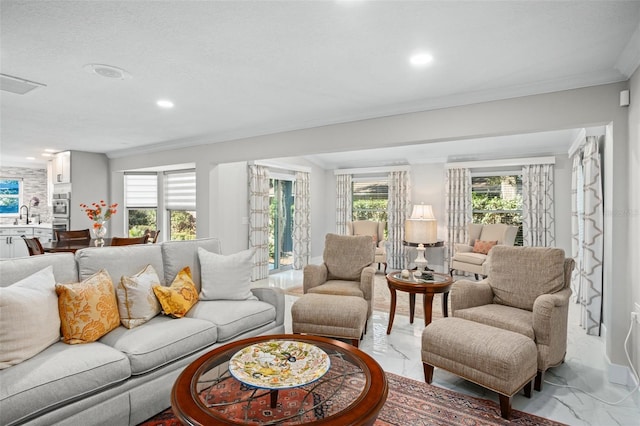 living room featuring crown molding and sink