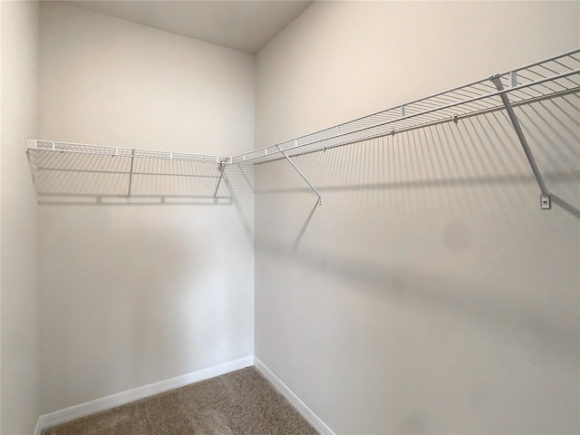 walk in closet featuring carpet