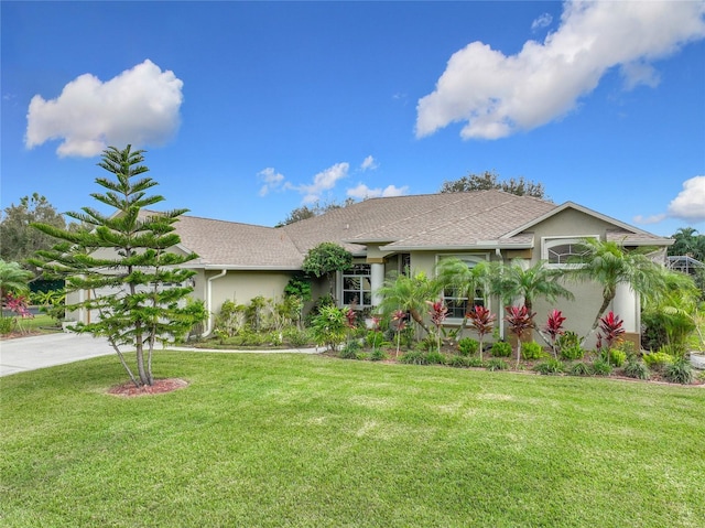 ranch-style house with a front yard