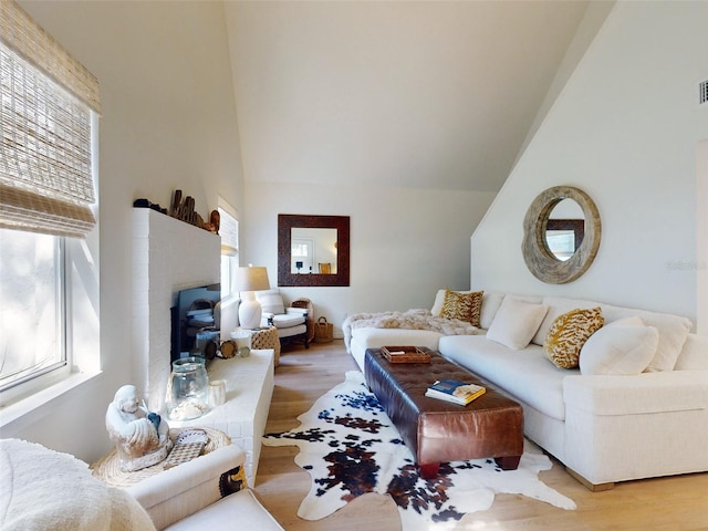 living room featuring plenty of natural light and wood-type flooring