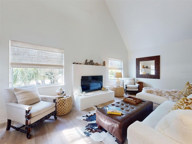 living room featuring light hardwood / wood-style floors and high vaulted ceiling