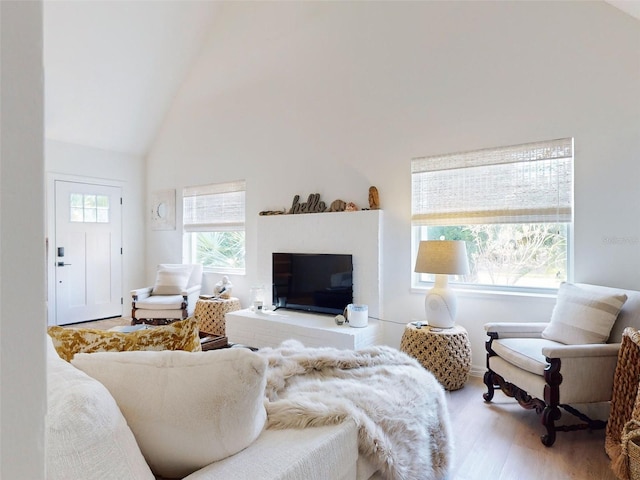 living room with wood-type flooring and high vaulted ceiling