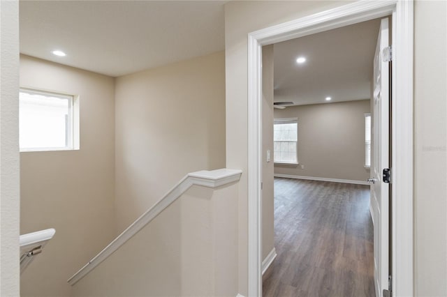 corridor with a wealth of natural light and dark hardwood / wood-style floors