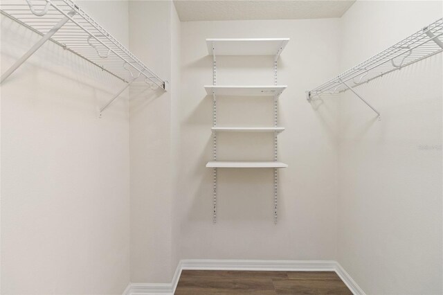 spacious closet featuring hardwood / wood-style floors