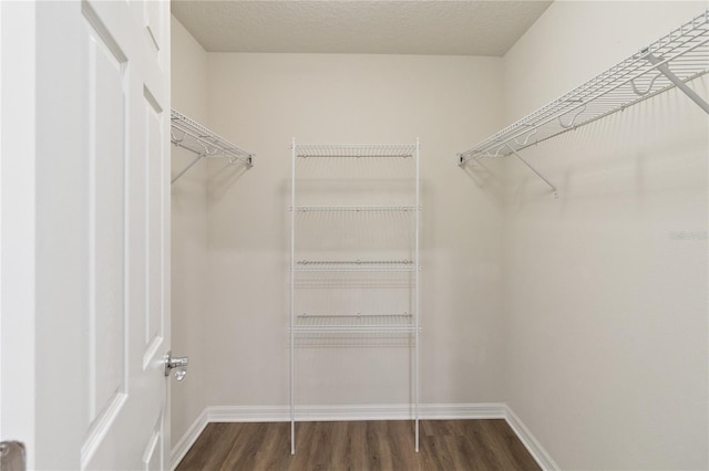 walk in closet featuring dark hardwood / wood-style flooring