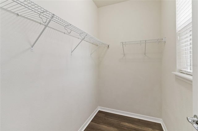 walk in closet featuring dark hardwood / wood-style floors